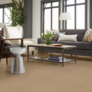 Living room Carpet flooring | Karen's Advance Floors