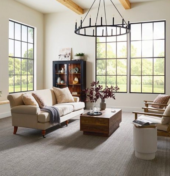Living room Carpet | Karen's Advance Floors